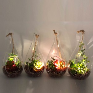 LED-glasplatta Dekorativa konstgjorda suckulenta växter med världskärmvase